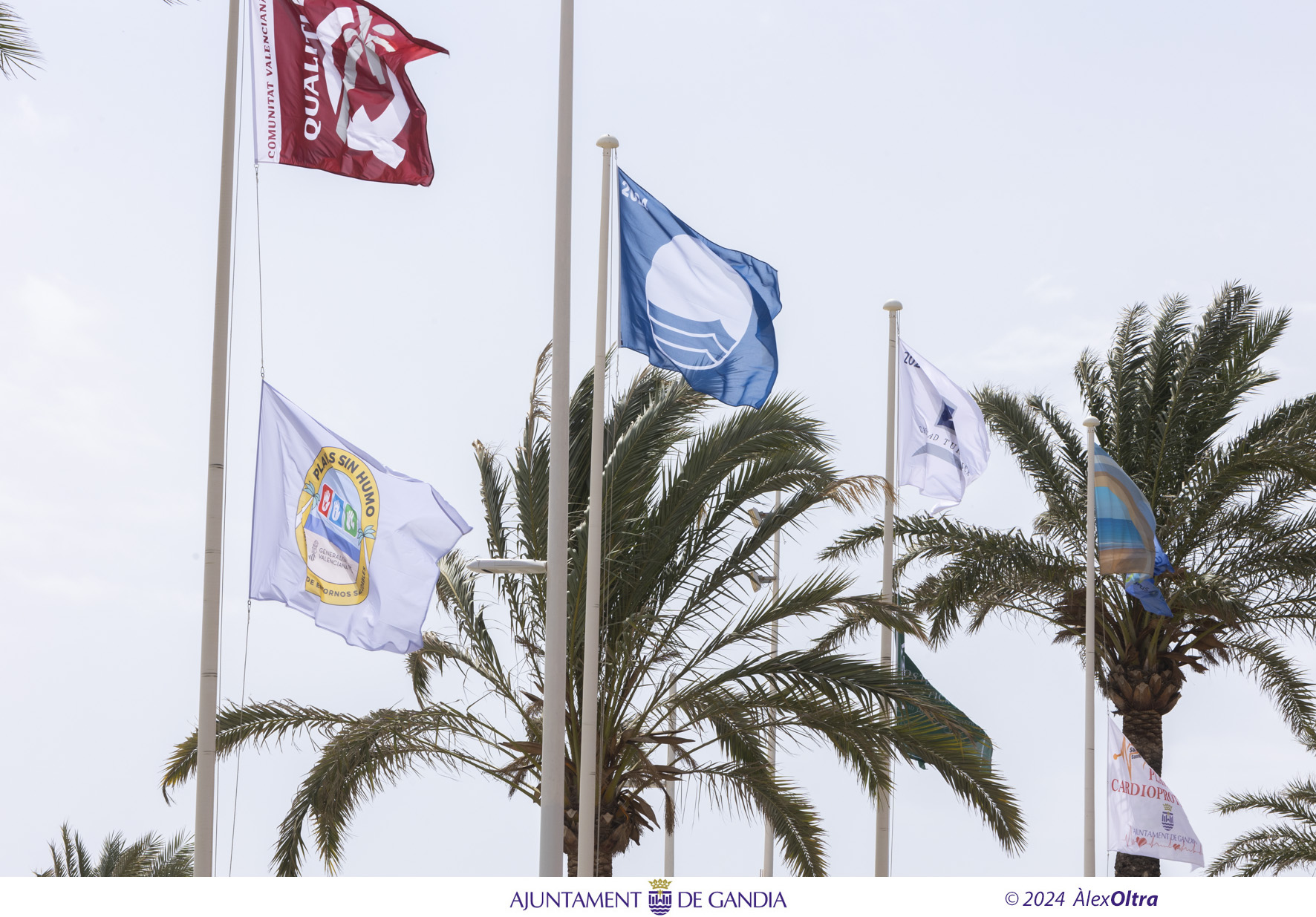 Gandia Bandera Azul Playa