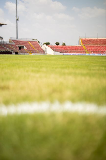 El Estadio Guillermo Olagüe acogerá el acto final de temporada del CF Gandia y un partido benéfico