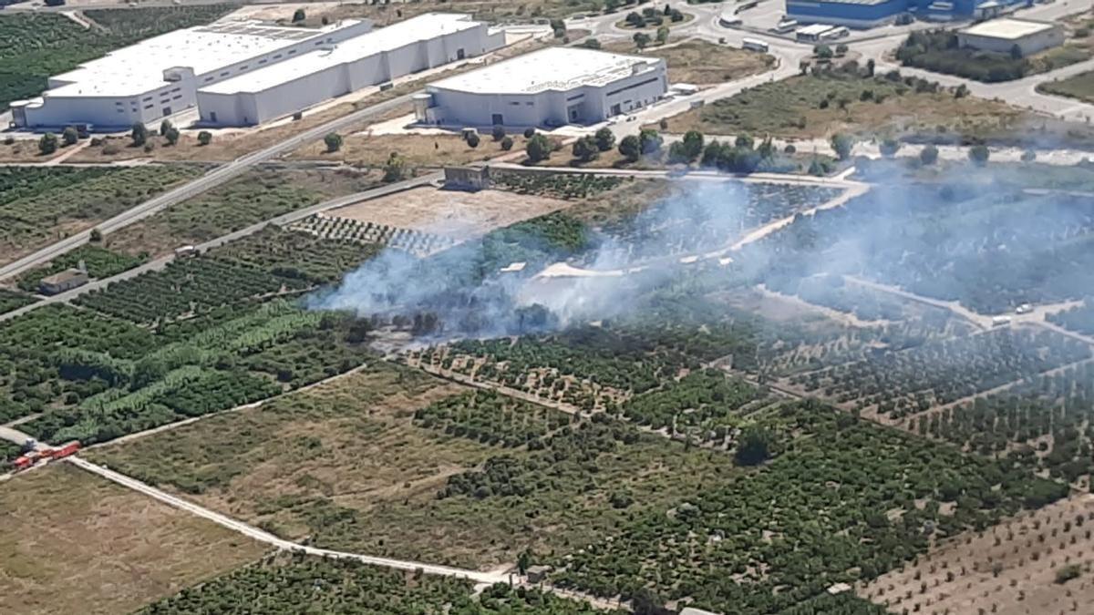 Incendio Forestal en Palmera: Despliegue Masivo de Medios Ante la Amenaza en La Safor