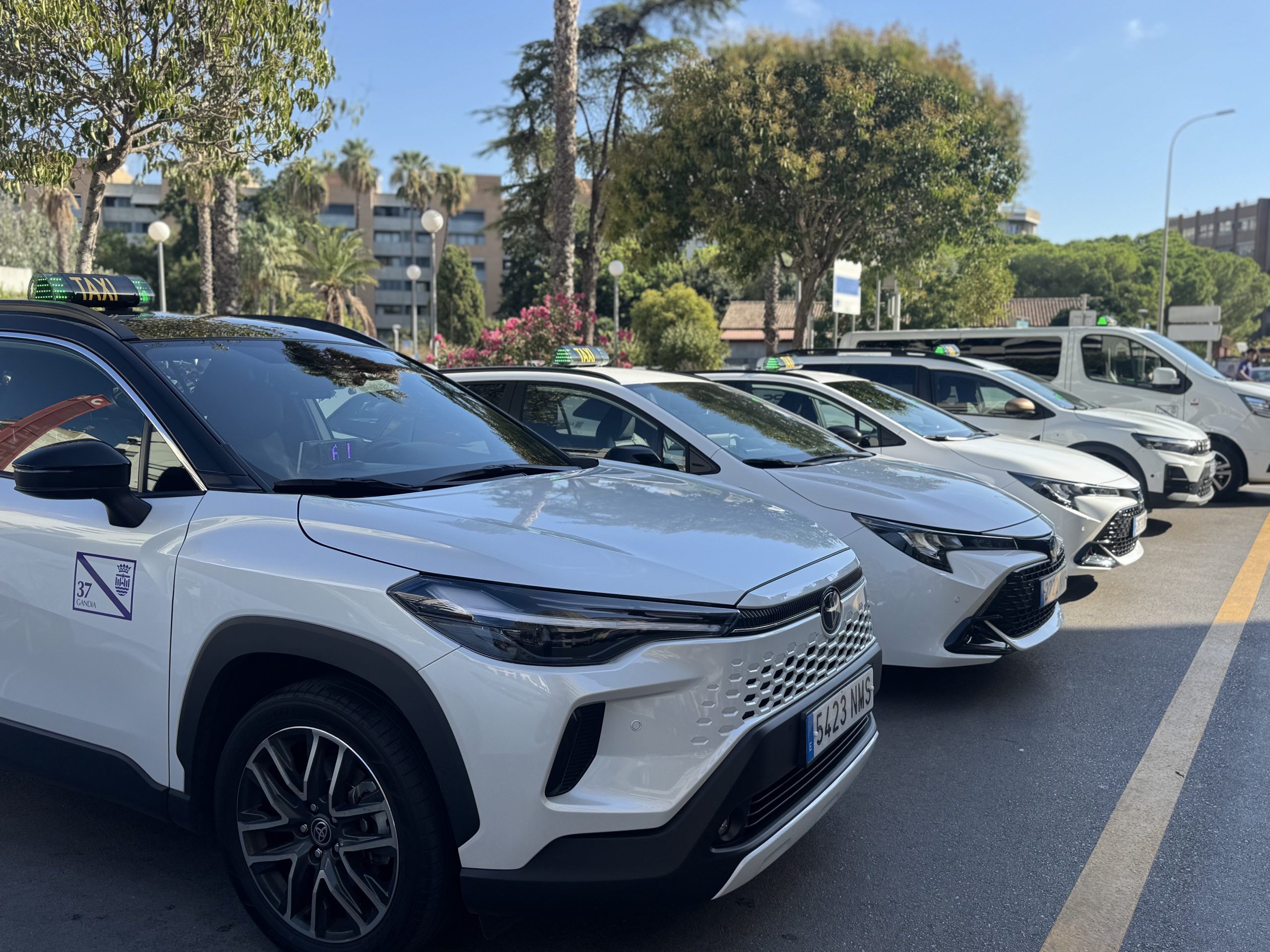 Gandia: La Expansión del Taxi, ¿Solución de Fondo o Síntoma de una Movilidad Fragmentada?